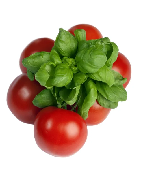 Basil and tomatoes series — Stock Photo, Image