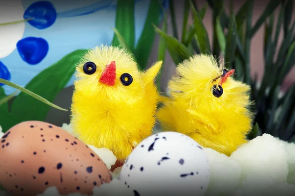 Velikonoční prostředí s kuřata a vejce — Stock fotografie