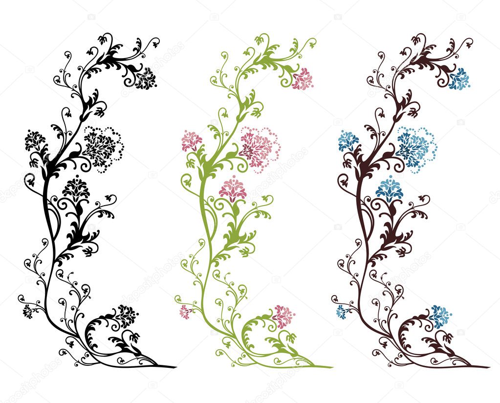 Floral vector designs isolated