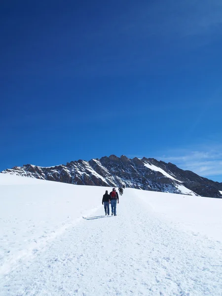 Esperanza en camino a pie en Jungfraujoch Top de Europa en el Moun suizo —  Fotos de Stock
