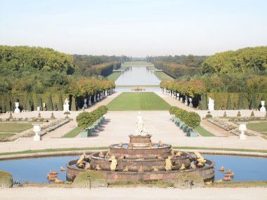 Decorative gardens with Park , spring , tree at Versailles in Fr clipart