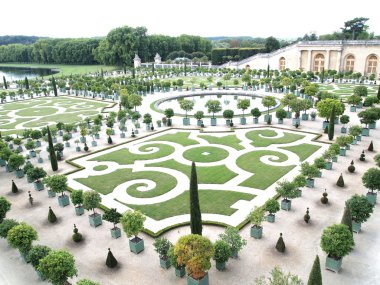 Dekoratif bahçeleri portakal ağaçlarıyla Fransa'daki Versailles
