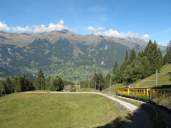 Cog-wheel train with landscape to Jungfraujoch — Stock Photo, Image
