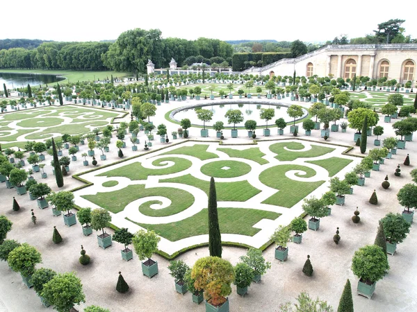 Декоративні садів з апельсиновими деревами у Версалі у Франції — стокове фото