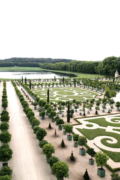 stock image Orangerie de Versailles' orange trees garden at Versailles in Fr