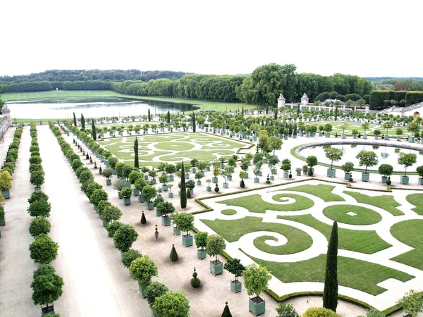 Jardin d'orangers à Versailles en France — Photo