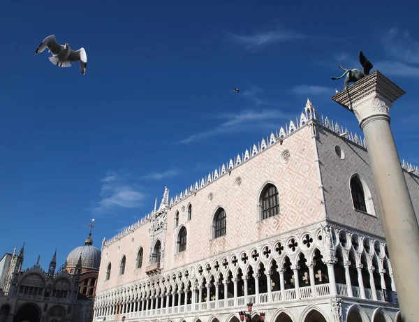Seeschwalbe oder Möwe bei Basilica di San Marco und Dogenpalast, Venedig — Stockfoto