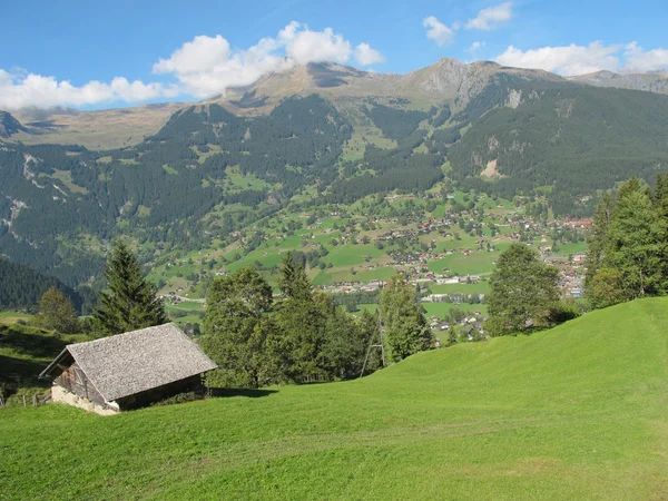 그린델발트, 스위스 위의 jungefrau에서 혼자 헛 로열티 프리 스톡 이미지