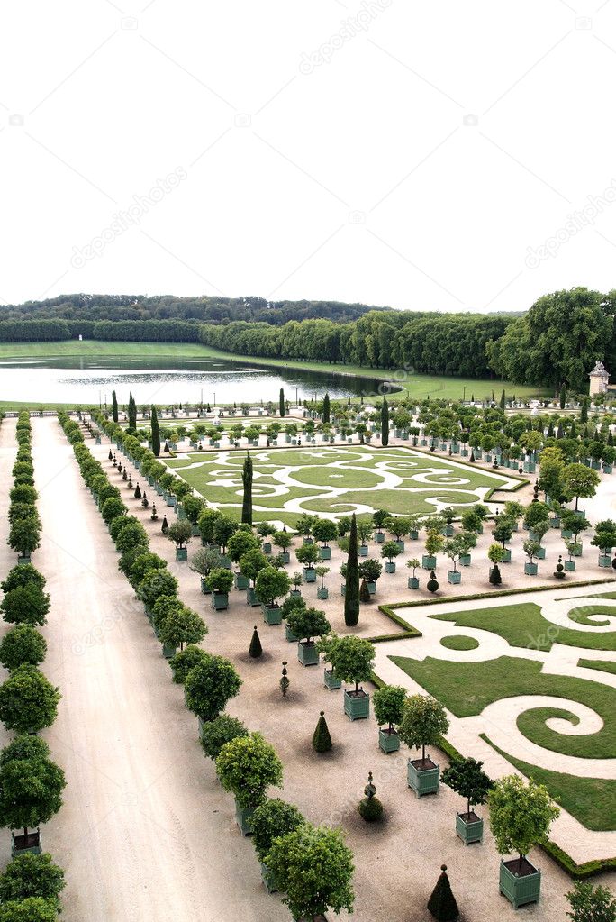 Orangerie de Versailles' orange trees garden at Versailles in Fr