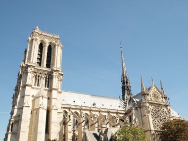 notre dame Katedrali Paris'te seine