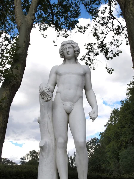 Statue de l'homme tenant un raisin — Photo