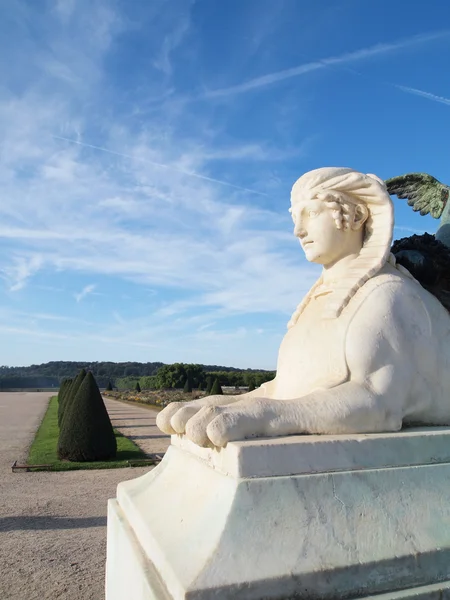 Fehér Szfinx Szobor Függőleges Franciaországban Versailles Várban — Stock Fotó