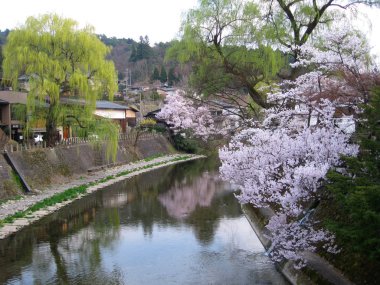 View of Takayama during the Spring Festival clipart