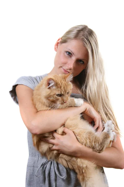 Женщина с коричневым пушистым котом — стоковое фото