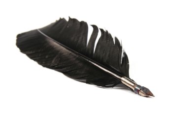 Black feather isolated on white background clipart