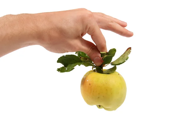 Appel in de hand geïsoleerd op witte achtergrond — Stockfoto