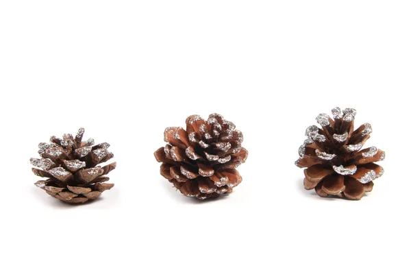 Trois cônes décoratifs en pin — Photo