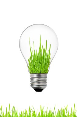 Yeşil enerji kavramı: ampul içinde çim ile