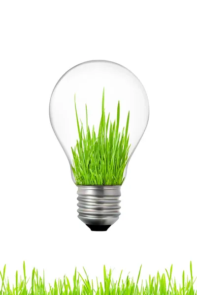 Концепция зеленой энергии: лампочка с травой внутри — стоковое фото