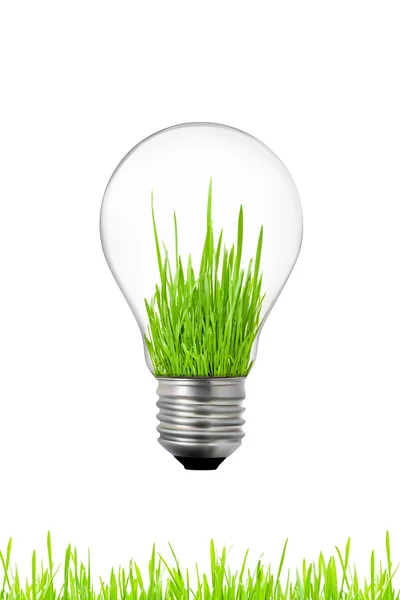 绿色能源概念: 灯泡与草的深处 — 图库照片#