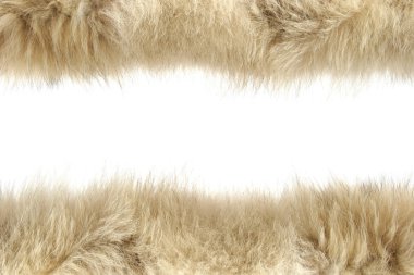 Fluffy wool texture clipart