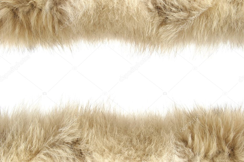 Fluffy wool texture