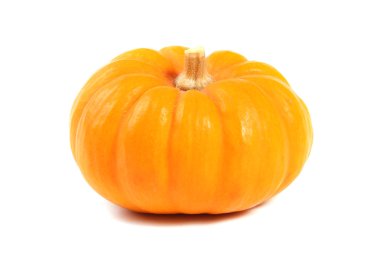 Pumpkin isolated on white background clipart