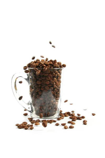 Pleine tasse de grains de café — Photo