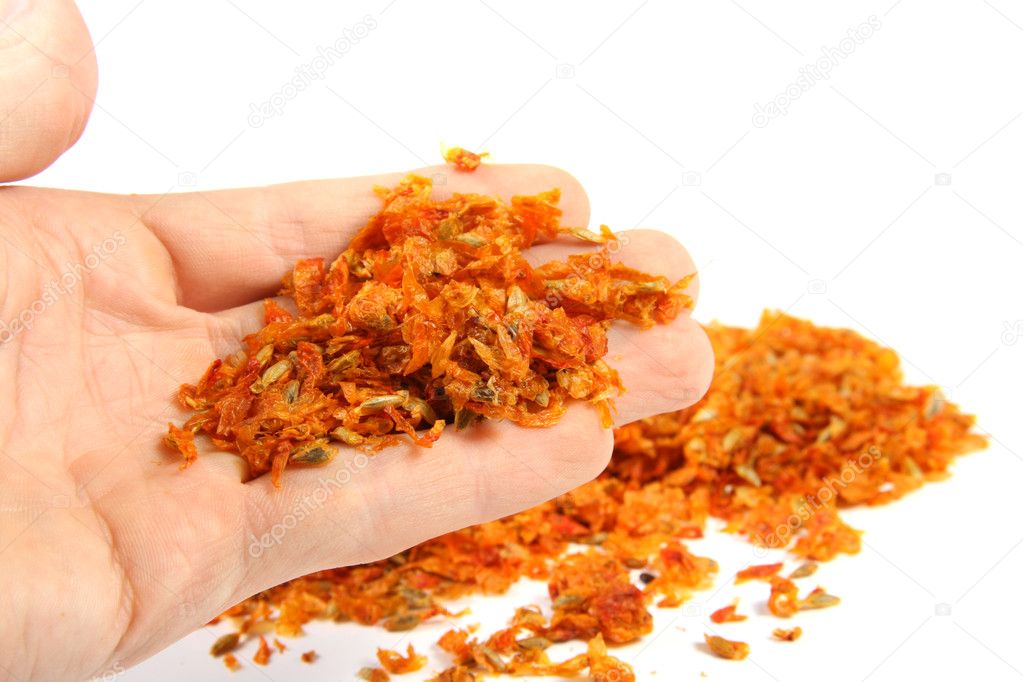 Dried sea buckthorn in the hand