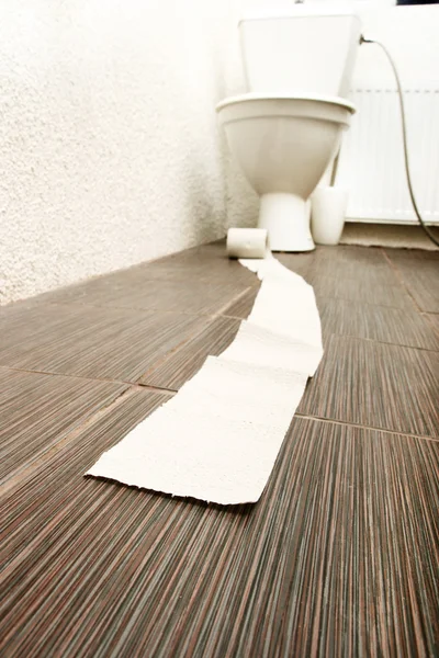 Toaletní papír na podlaze v koupelně — Stock fotografie