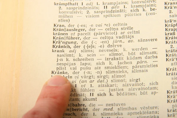 Finger peger på et ord i tysk ordforråd - Stock-foto