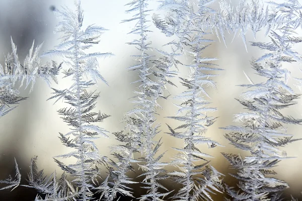 Modèle de givre sur une fenêtre d'hiver — Photo