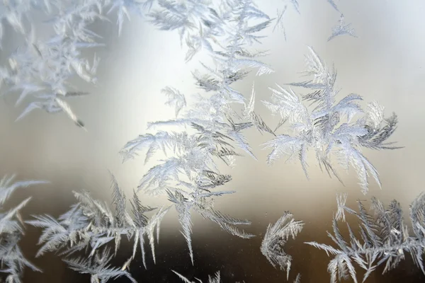 Modèle de givre sur une fenêtre d'hiver — Photo