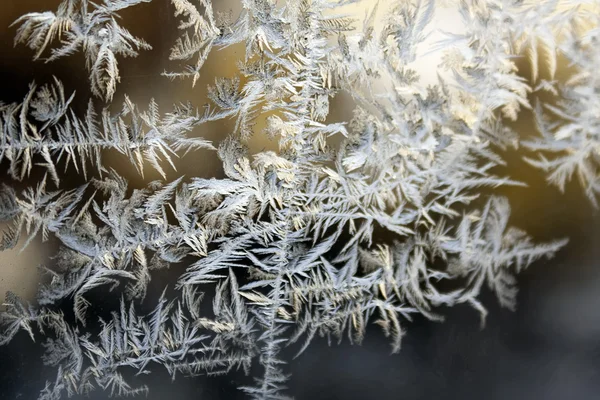Mráz vzor na zimním okně — Stock fotografie