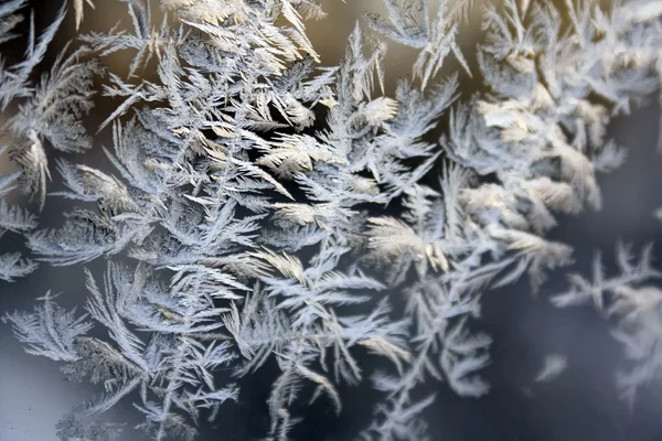 Frost on glass of window closeup — Stock Photo, Image