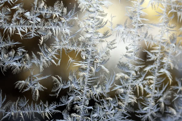 ウィンドウのクローズ アップのガラスを霜します。 — ストック写真