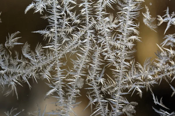 Verre congelé d'une fenêtre, froid en hiver — Photo