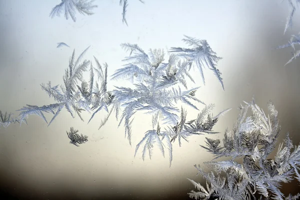 Mrożone szkło okna, zimno w zimie — Zdjęcie stockowe