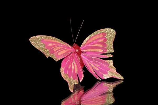 Dekoratív pillangó — Stock Fotó