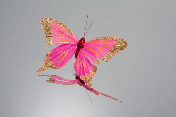 stock image Butterfly with a mirror reflection