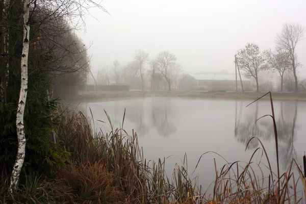 Mist landschap Stockfoto