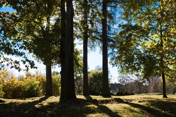 stock image Autumn in the park