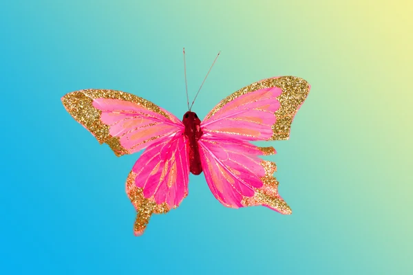 Красивая Бабочка — стоковое фото