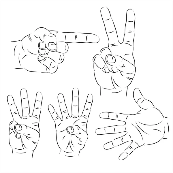 Handen — Stockvector