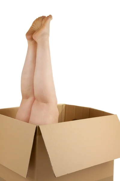 stock image Woman with box