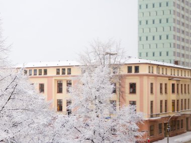 Kışın hamburg