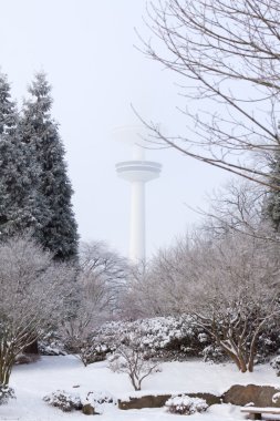 Kışın hamburg