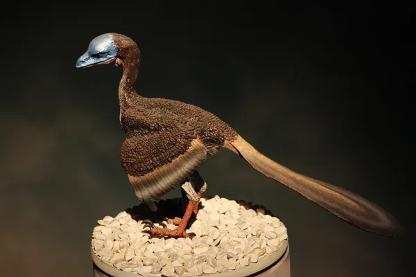 Макет Доисторической Хищной Птицы — стоковое фото