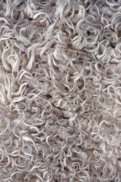 Textura de la piel de oveja blanca — Foto de Stock
