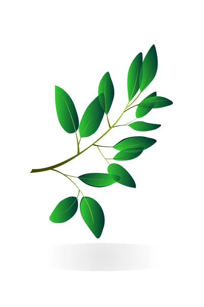 Branche d'arbre — Image vectorielle